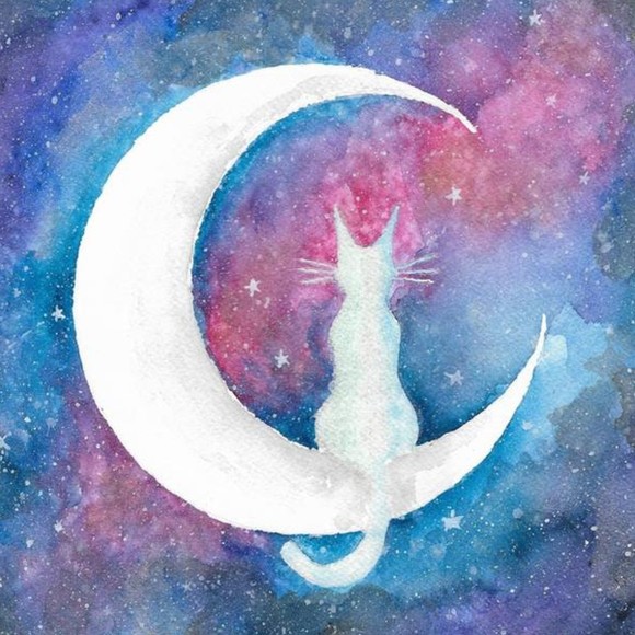 calicomoon